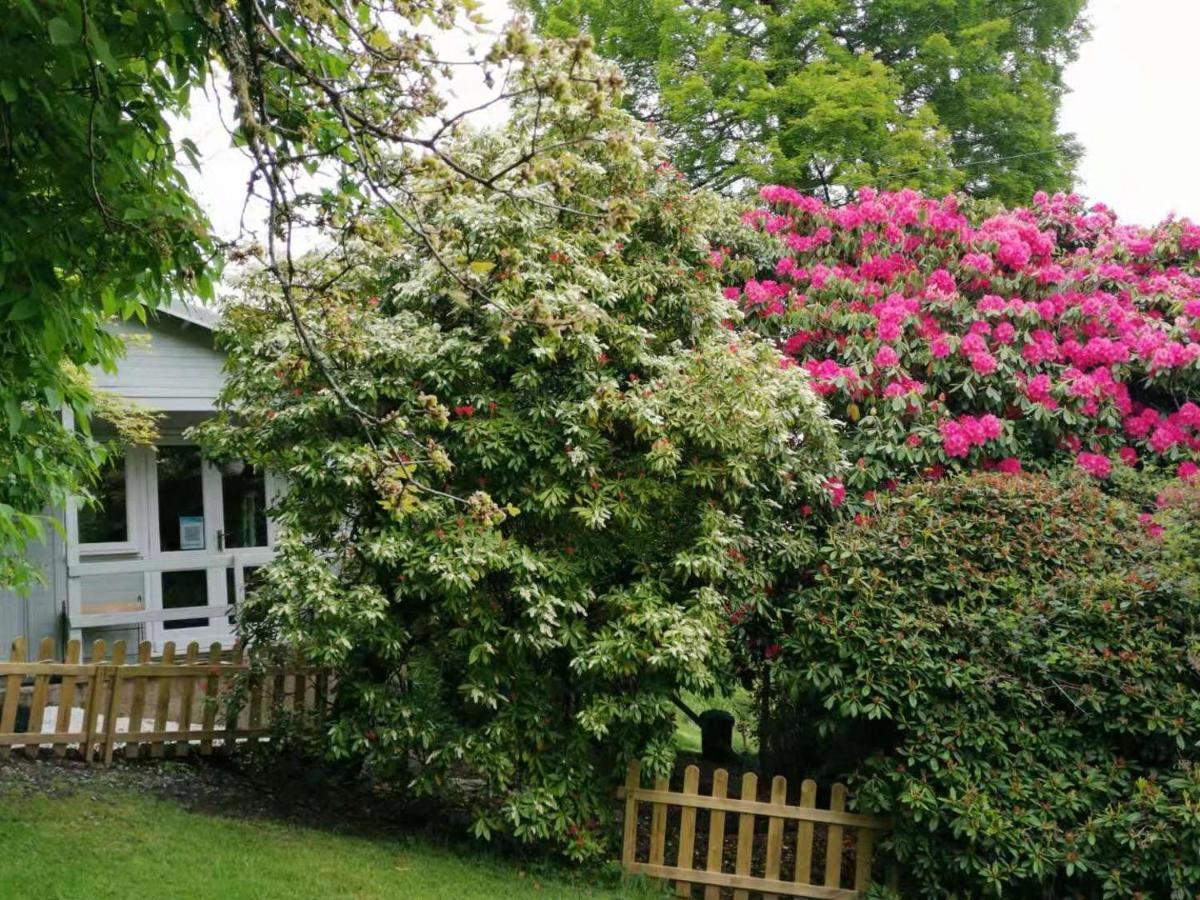 Villa Treeside Woodhouse Hawkshead Exterior foto