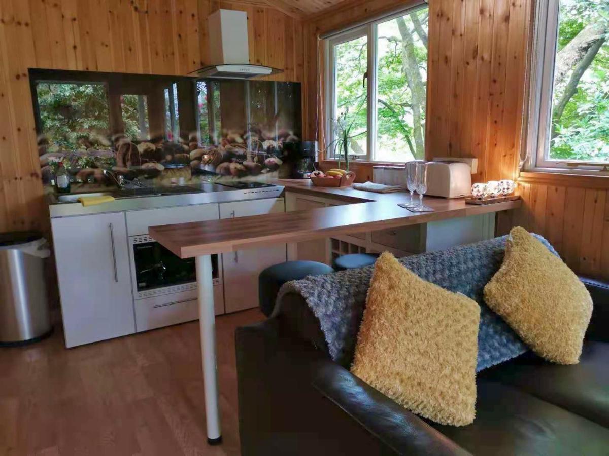 Villa Treeside Woodhouse Hawkshead Exterior foto