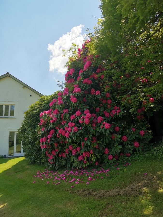 Villa Treeside Woodhouse Hawkshead Exterior foto