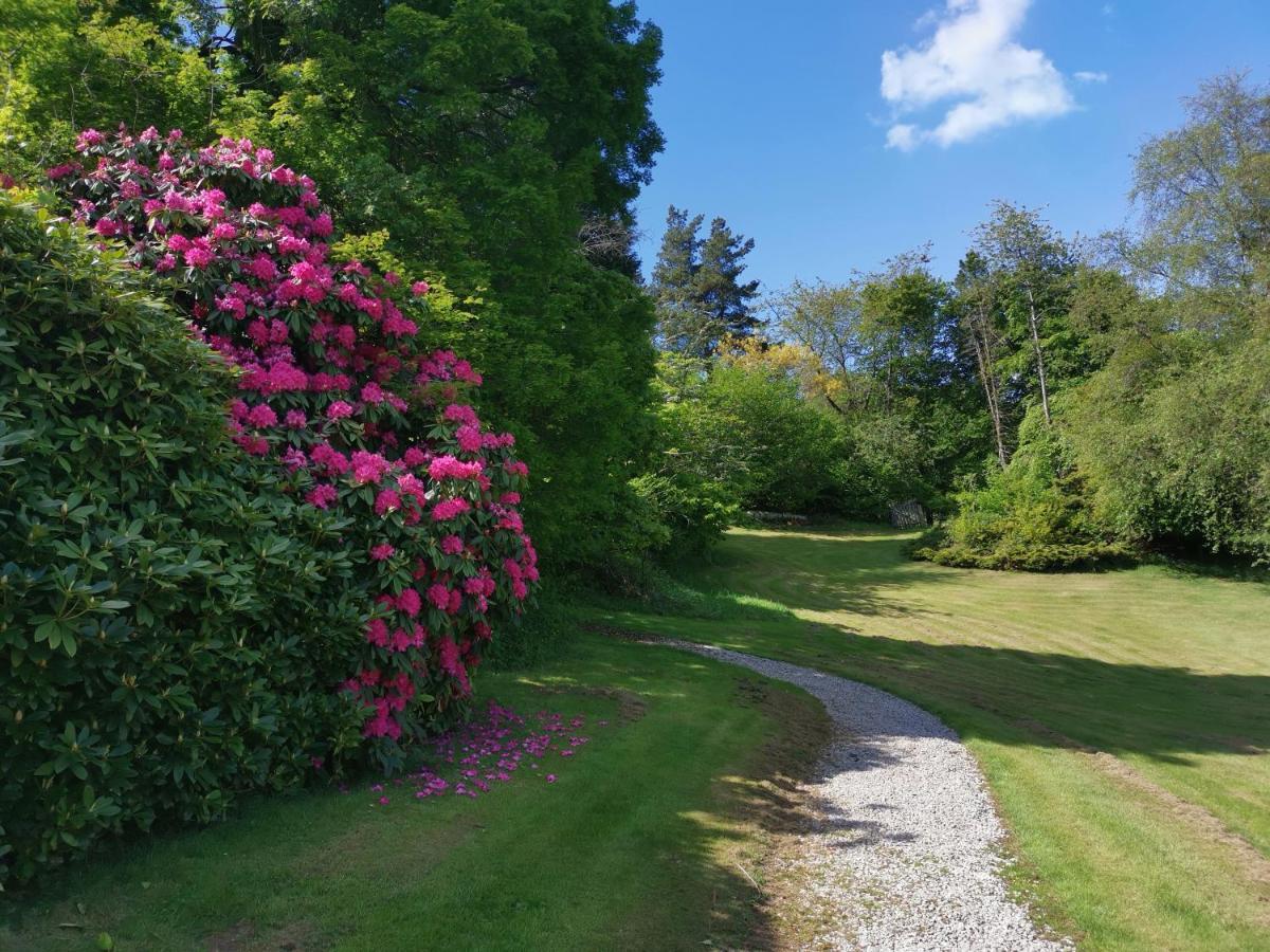 Villa Treeside Woodhouse Hawkshead Exterior foto