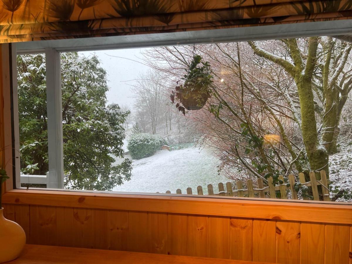 Villa Treeside Woodhouse Hawkshead Exterior foto