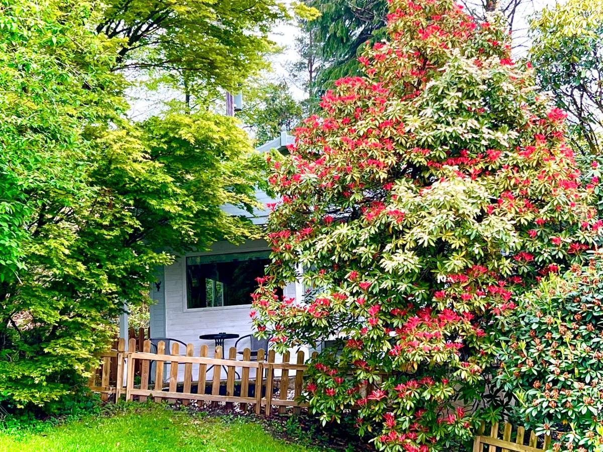 Villa Treeside Woodhouse Hawkshead Exterior foto