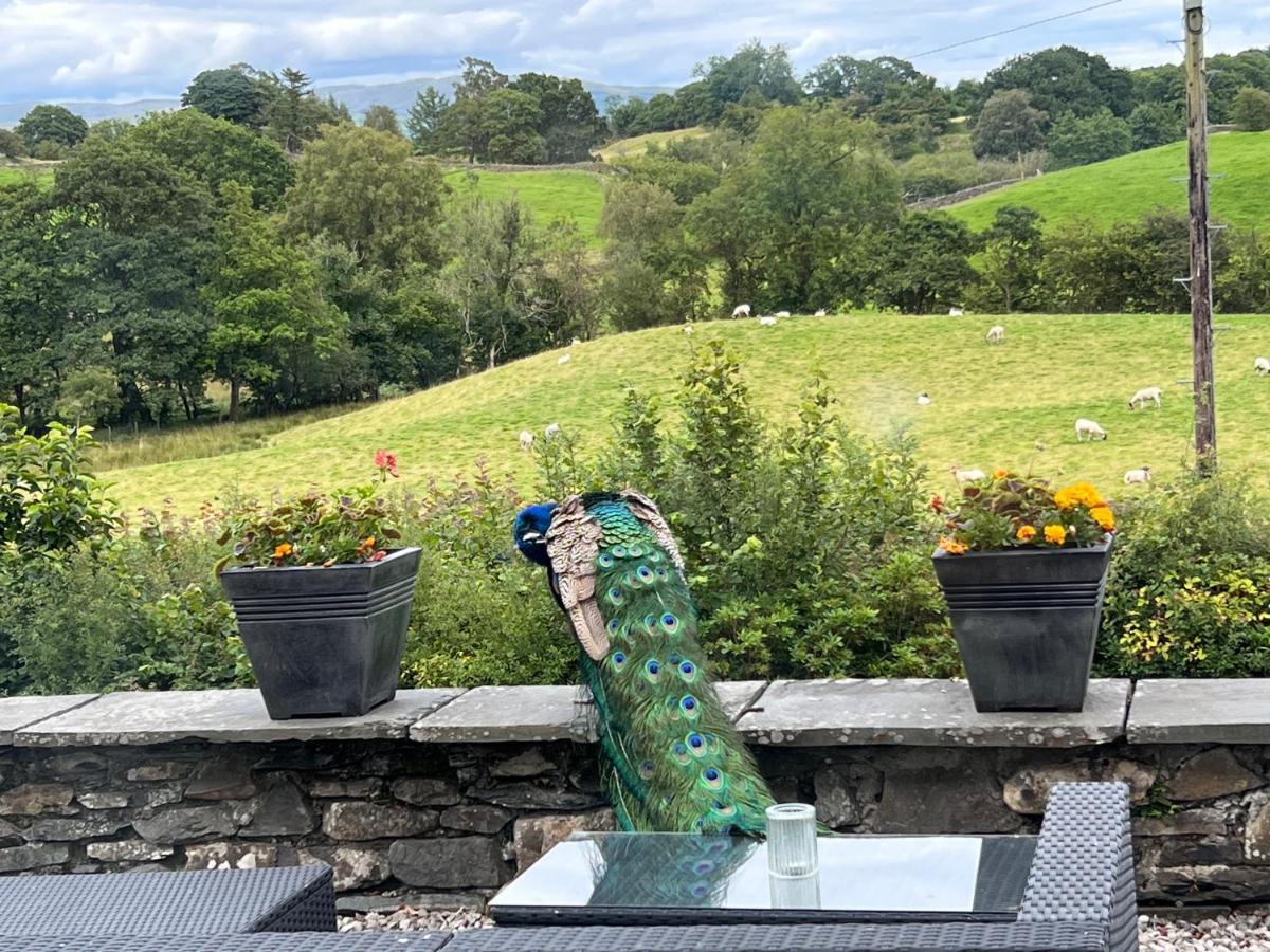 Villa Treeside Woodhouse Hawkshead Exterior foto